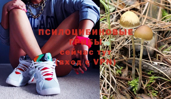 спиды Майский