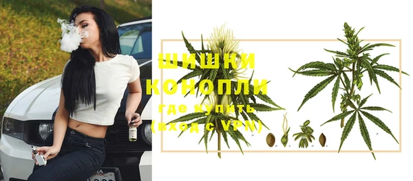 молекула духа Мегион